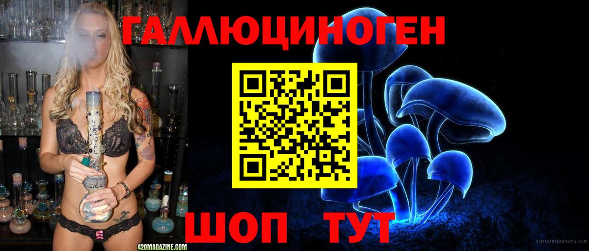 Галлюциногенные грибы прущие грибы  Вход с VPN  Гай  Галлюциногенные грибы Psilocybine cubensis 