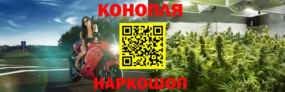 Конопля White Widow Гай